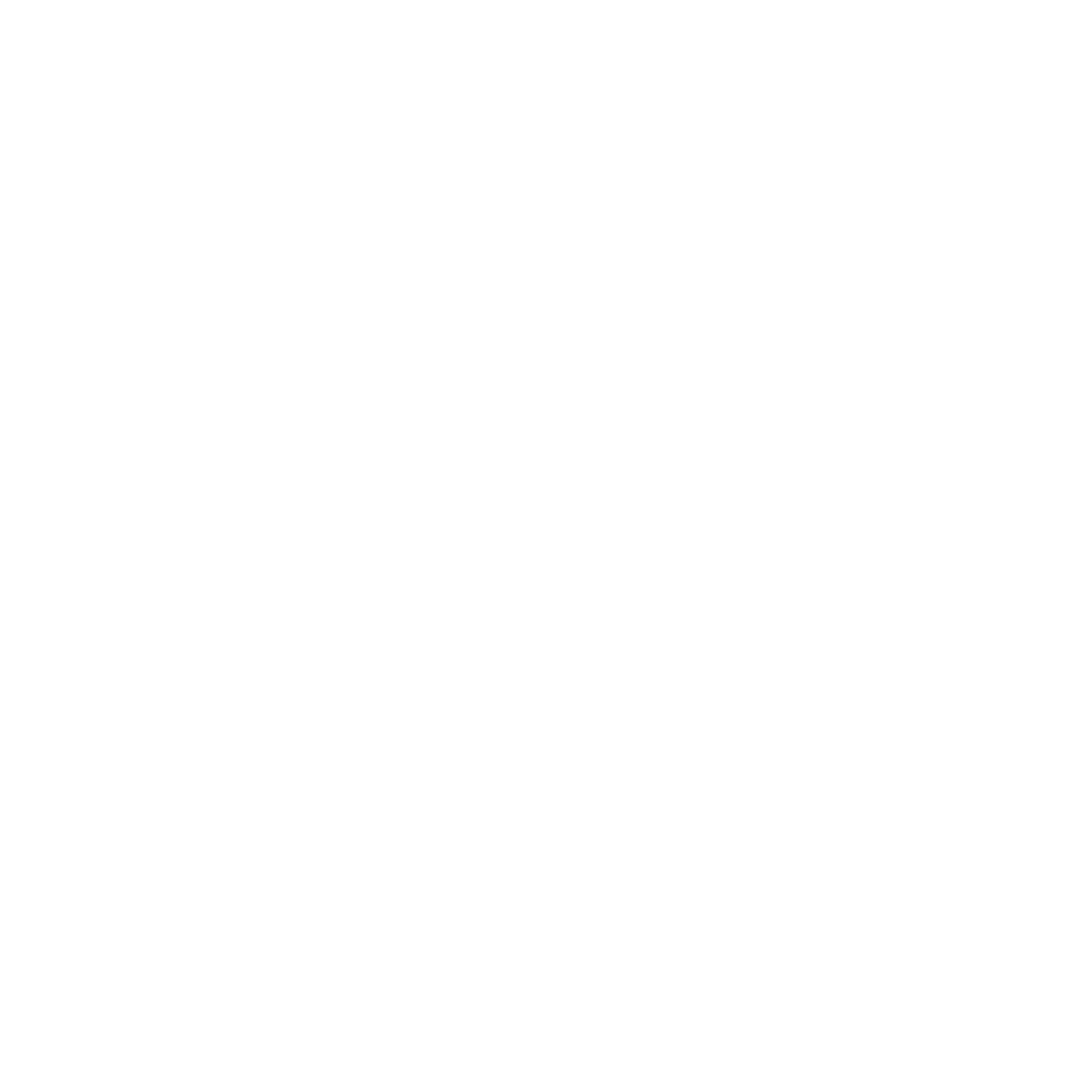 کلام امیر