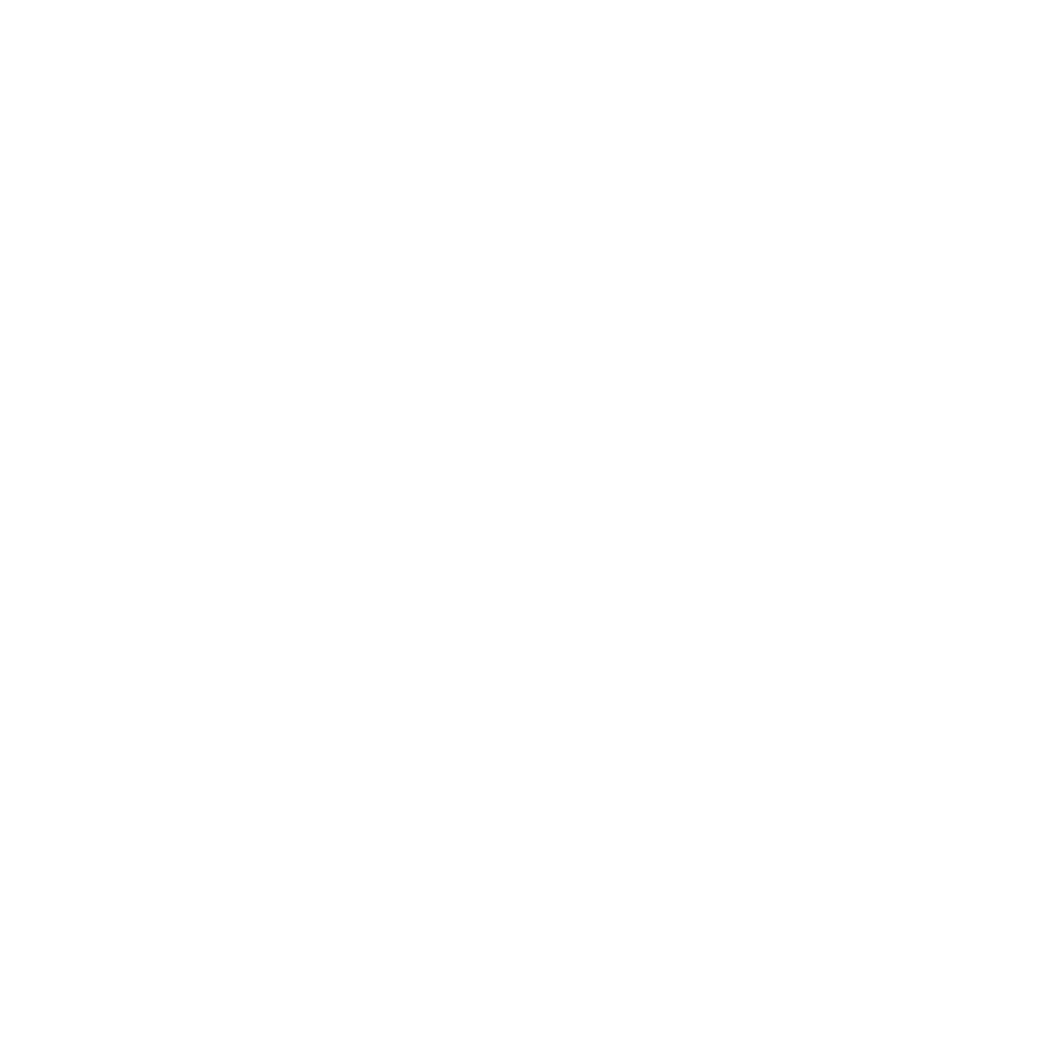 کلام امیر